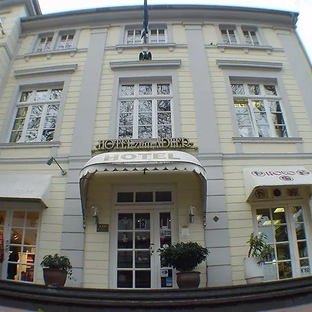 Hotel Zum Adler 3*