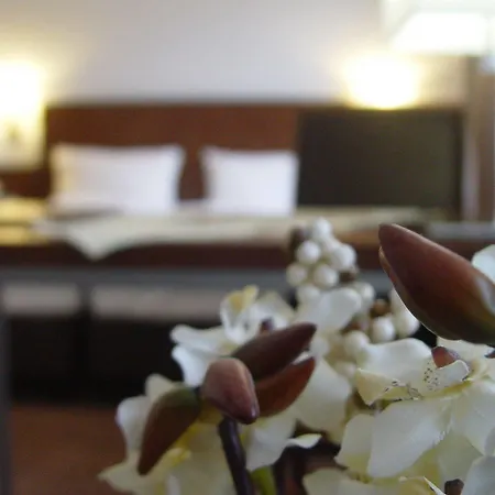 Zum Adler Hotel